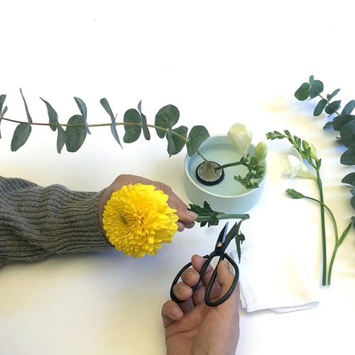 Mini Ikebana blomsterarrangemangskit, Multi