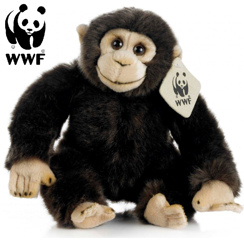 Schimpans - WWF